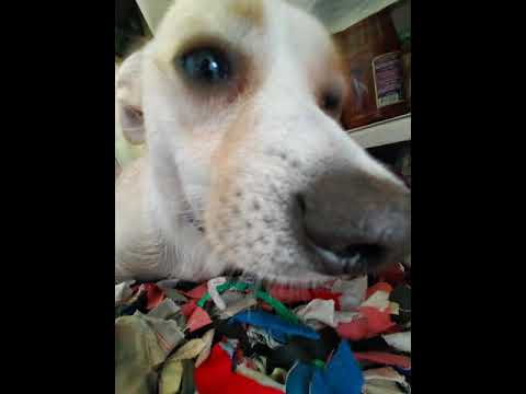 Видео: Макс Корж - Малый повзрослел bass boost & slowed