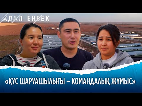 Видео: Құс шаруашылығы: азық-түлік қауіпсіздігінің тірегі | Адал еңбек