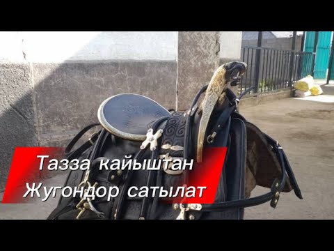 Видео: Атка керектуу жабдыктар тазза кол онорчулук тел:996771903632. Номерге кайрыластар