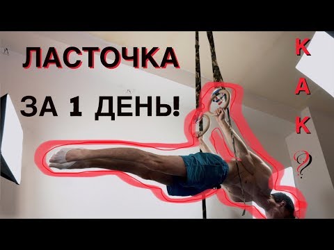 Видео: ЛАСТОЧКА! ЗАДНИЙ ВИС ЗА 1 ДЕНЬ. (не кликбэйт)