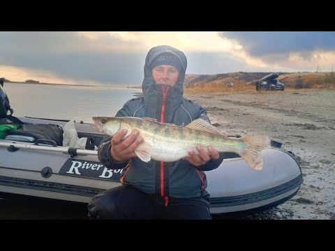 Видео: #судак 🐳🎣в ноябре первый снег ❄️ он все же клюнул 💪💪🐳🎣#рыбалка  на #дону 🎣 #fishing #судака #осень