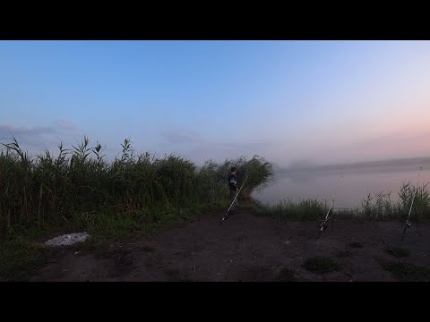 Видео: Рыбалка с ночевкой! Бешеный клев подлещика и крупный КАРАСЬ.