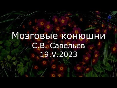 Видео: С.В. Савельев - Мозговые конюшни