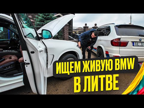 Видео: КАК МЫ ПОКУПАЛИ ЖИВОЙ BMW X5 F15 ЗАПАХ РЕШАЕТ!