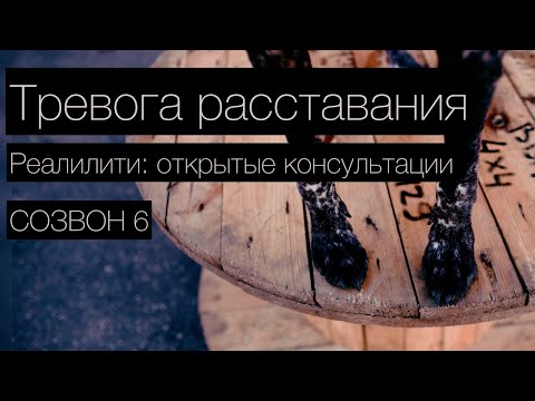 Видео: Кенни. Созвон 6