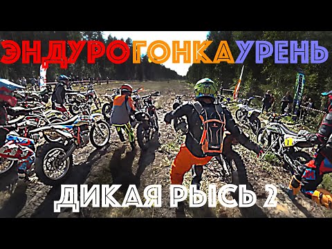 Видео: Эндуро гонка "Дикая Рысь 2" Урень 28.08.2021