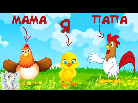 Видео: Домашние животные и их детеныши. Семья животных для детей
