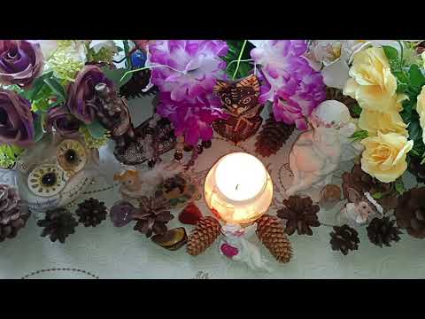 Видео: Отношенията с близките❤️👪❤️