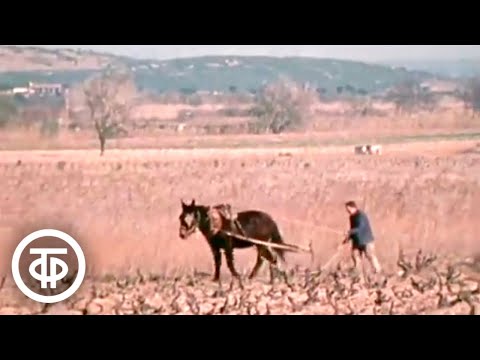 Видео: Испания весной 1976-го. Документальный фильм (1976)