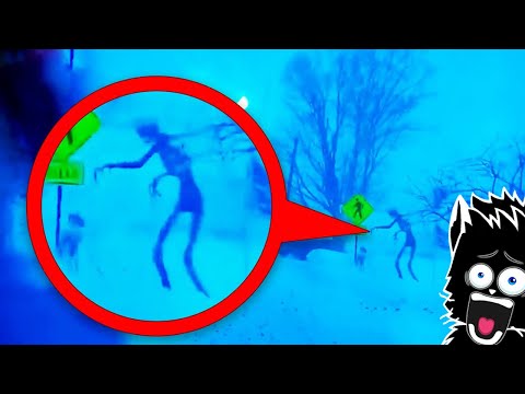 Видео: ЖУТКИЙ ЗИМНИЙ МОНСТР и ДРУГАЯ ЧЕПУХА СНЯТАЯ НА КАМЕРУ [Черный кот]