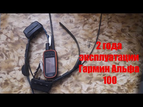 Видео: Что Случилось С GPS Гармин Альфа 100 За 2 Года!