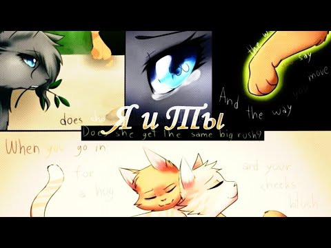 Видео: Клип Коты Воители  "Я и Ты" Пепелица и Огнезвезд|Cat Warrios Cinderpelt and Firestar|√ 🖤Black Cat𓃠√