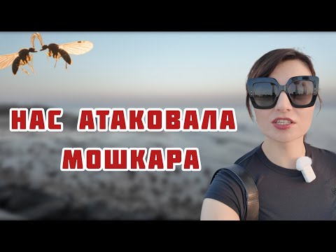Видео: Балкон к зиме, ленивый лохмаджун, мошкара и необычный фильм!