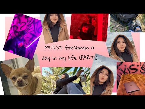 Видео: Yoursgoo - MUIS''s FRESHMAN A DAY IN MY LIFE ❤️vlog!  (МУИС дахь оюутны нэг өдөр)