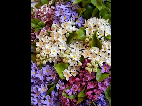 Видео: ХОЛОДНЫЙ ФАРФОР-СИРЕНЬ