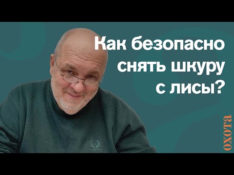 Видео: Как безопасно снять шкуру с лисы? Валерий Кузенков о том, как обезопасить себя.