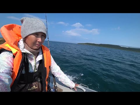 Видео: в этом МОРЕ, столько разной рыбы..