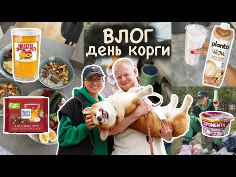 Видео: Вкусный завтрак на 550 ккал, едем на день корги, что взять с собой на пикник