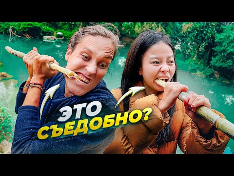 Видео: Как Едят Тростник в Китае АВТОДОМ #9