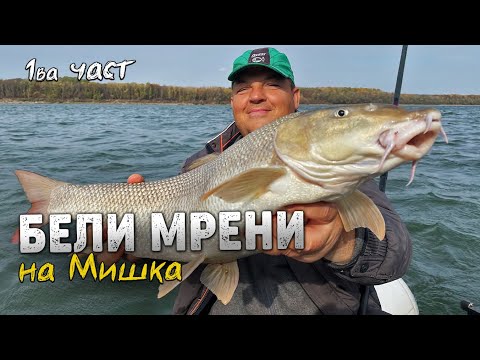 Видео: БЕЛИ МРЕНИ на Мишка.../ Тънкости за речен фидер за едри риби! - 1 част