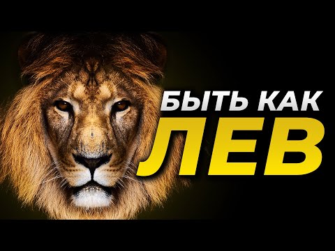 Видео: Я ЛЕВ! - Мотивационное видео