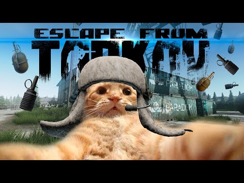 Видео: Ждем вайп тарков 12.12.30 | Суета на таможне в Escape from Tarkov