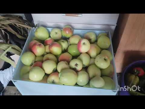 Видео: Видео за 2 дня /как живут в русской деревне... 