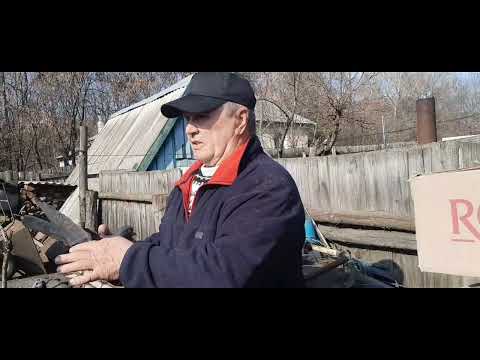 Видео: Возвращение 2их голубок с деревни