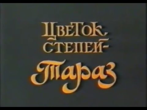 Видео: CKO "Азия", "Цветок степей - Тараз", фильм о древнем городе Тараз, 1993г.