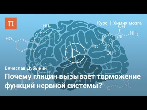 Видео: Глицин и аденозин — Вячеслав Дубынин