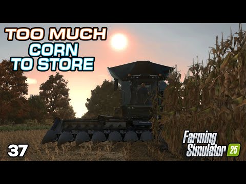 Видео: СЛИШКОМ МНОГО КУКУРУЗЫ, НУЖНО ХРАНИТЬ! | Saxlingham - Farming Simulator 25 - Эпизод 37