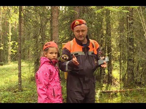 Видео: СОВЕТЫ СПАСАТЕЛЯ ДЛЯ ЛЕСА