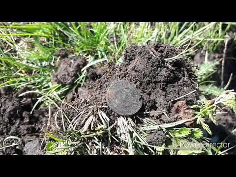 Видео: Долгожданный удачный выезд на коп))