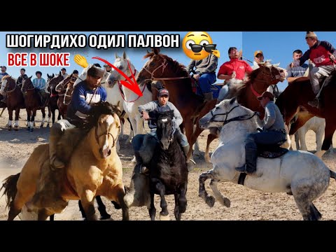 Видео: Бузкаши гаштак Исфара🇹🇯