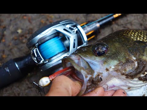Видео: Ловля австралийской рыбы в мелководье!