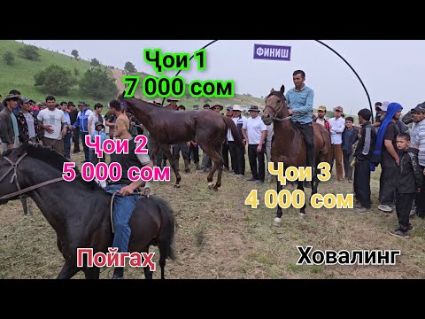 Видео: Пойгаи аспдавонӣ дар ноҳияи Ховалинг 18-уми май
