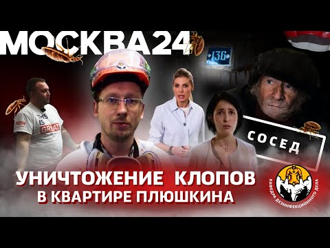 Видео: Уничтожение клопов в квартире Плюшкина