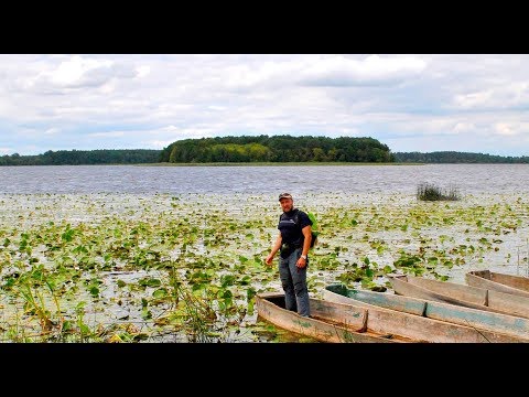 Видео: 5 озер півночі Рівненського ПОЛІССЯ