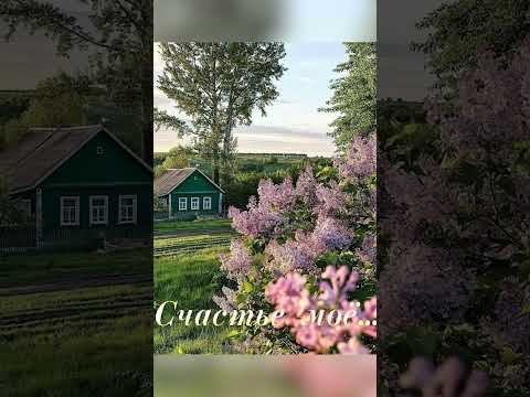 Видео: ПРЕМЬЕРА ПЕСНИ! 