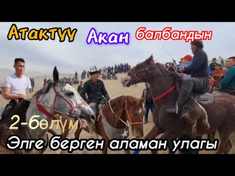 Видео: Атактуу Акан балбандын Элге берген аламан улагы 27.11.2023. 2-бөлүм