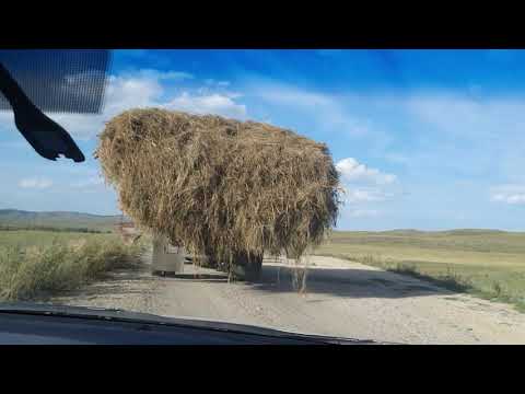 Видео: Алгабас-Таргын