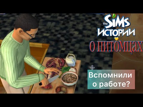 Видео: The SIMS - Истории ПИТОМЦЕВ - РАБОТА?)