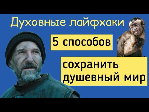 Видео: Сохранить душевный мир. 5 способов. Духовные лайфхаки от иерея Михаила Литвищенко.