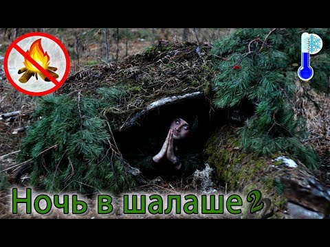 Видео: Спичек нет. Снаряжения нет. Холодно. 24 ЧАСА В ЛЕСУ. Игорь Лесник