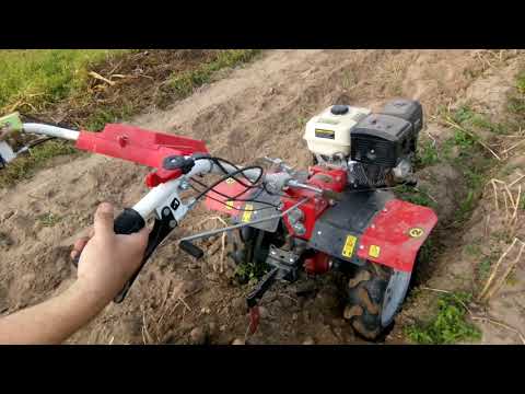 Видео: Копка картофеля мотоблоком Shtenli 1900 pro с пониженной передачей