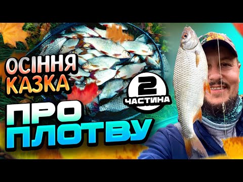 Видео: Повний садок плотви! Кльов, що зносить дах — клює без зупину! | Частина 2