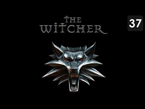 Видео: Прохождение The Witcher — Часть 37 [Роскошный прием]