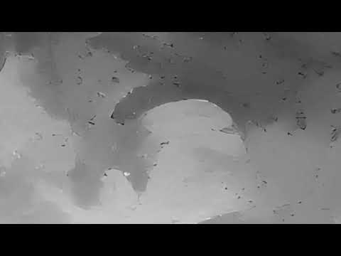 Видео: ANNA ASTI - Повело (Slowed + Reverb)