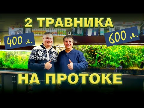 Видео: Аквариумы 600 и 400 литров на протоке. Обзор.