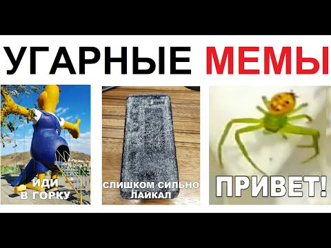 Видео: 200 МЕМОВ. Иди ты в ГОРКУ !!! Паук с человеческим лицом